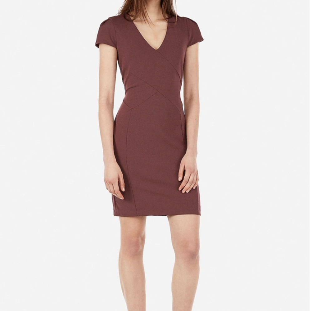 Express | Tulip Sleeve Sheath Dress